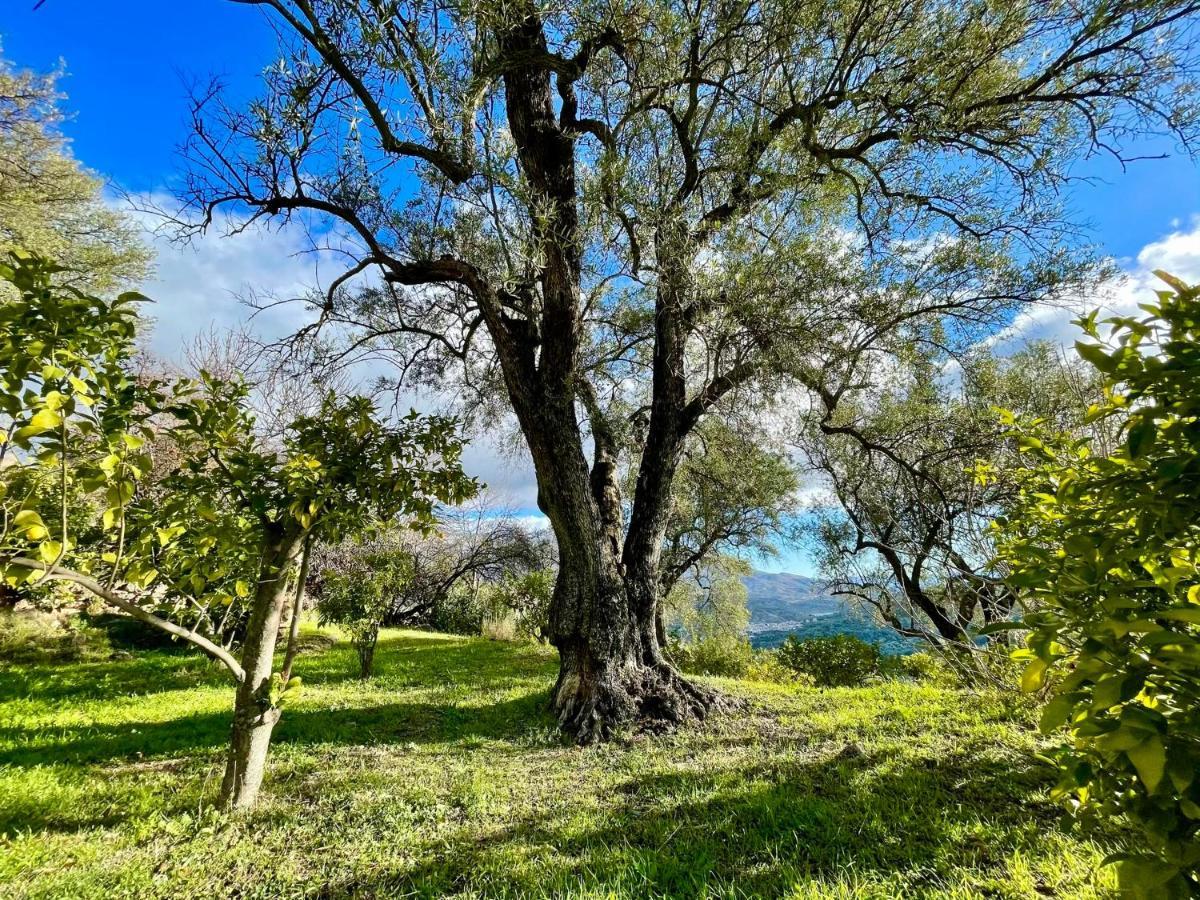 La Esperanza Granada Luxury Hacienda & Private Villa Saleres エクステリア 写真