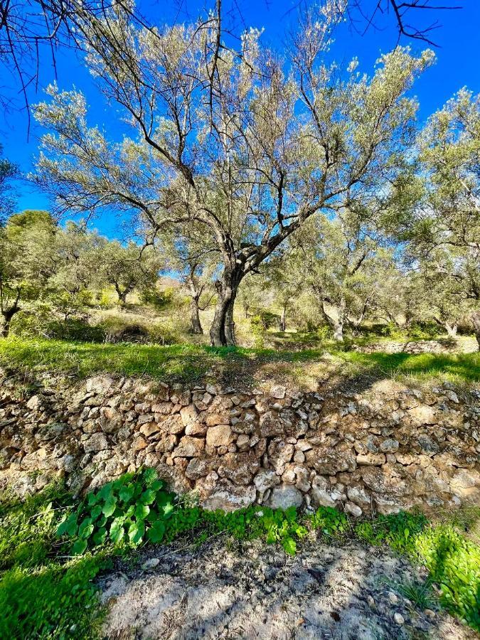 La Esperanza Granada Luxury Hacienda & Private Villa Saleres エクステリア 写真