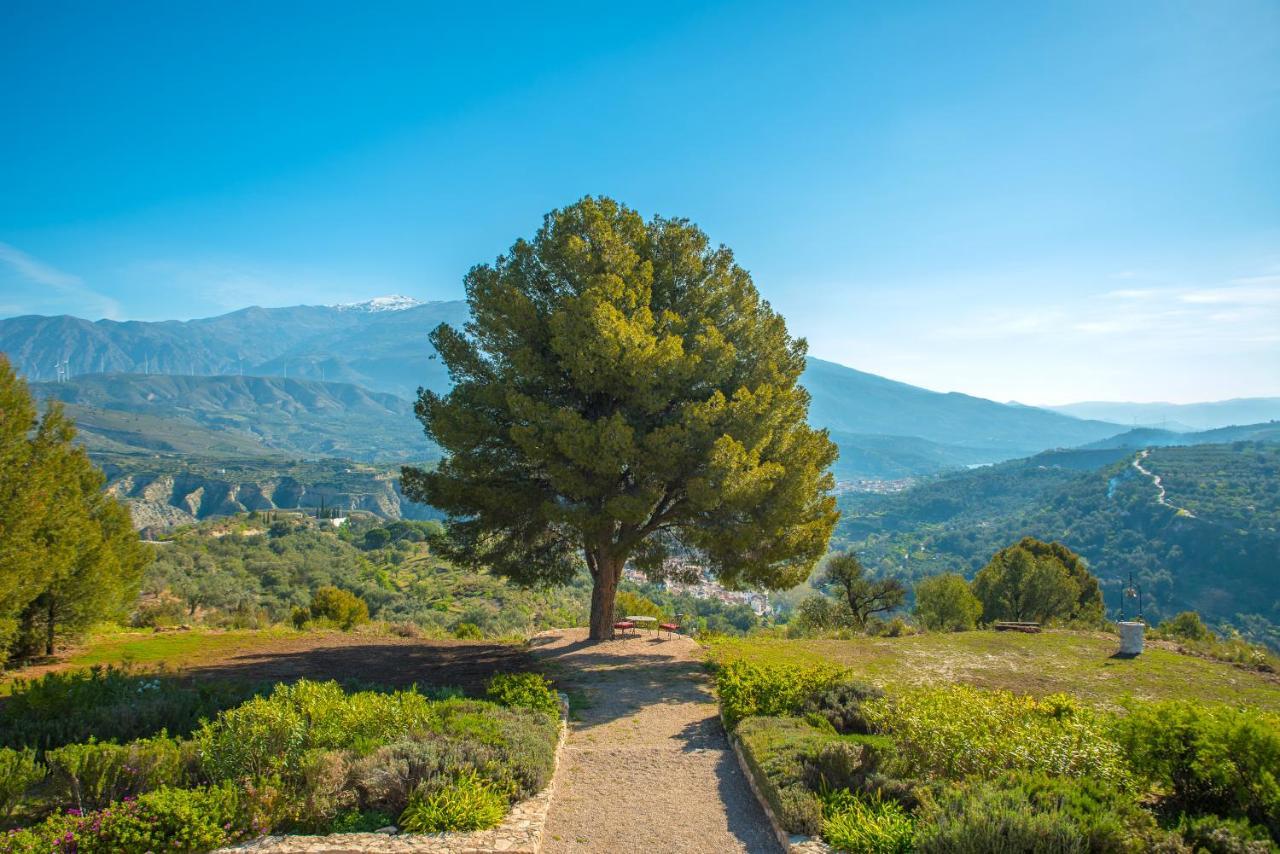 La Esperanza Granada Luxury Hacienda & Private Villa Saleres エクステリア 写真