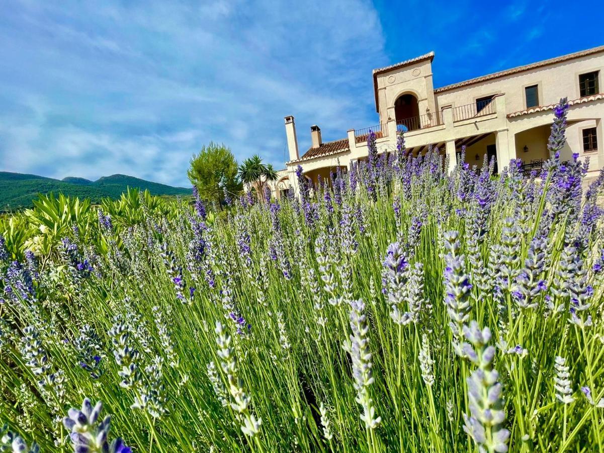 La Esperanza Granada Luxury Hacienda & Private Villa Saleres エクステリア 写真